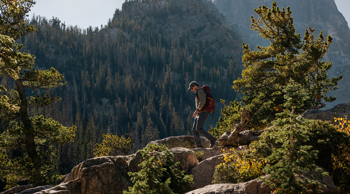 Garmin GPSMAP H1 vs H1i Plus vs 67 vs 67i: The Ultimate Comparison