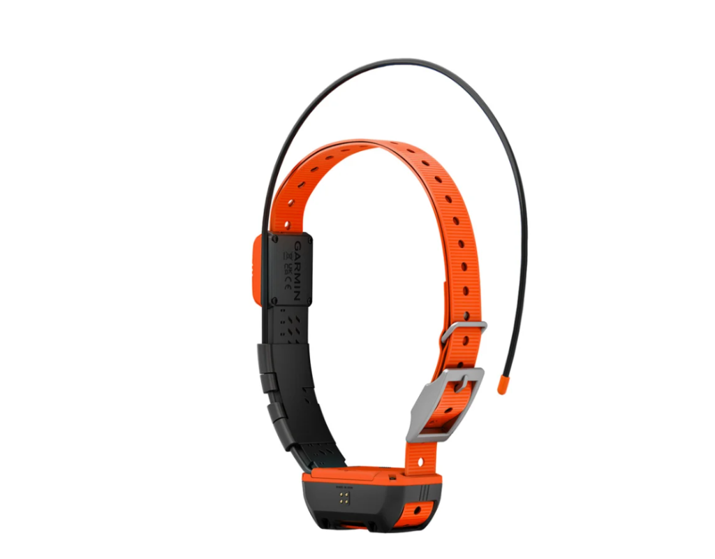 Alpha® T 20 K Dog Collar