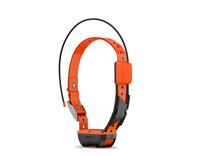 Alpha® T 20 K Dog Collar