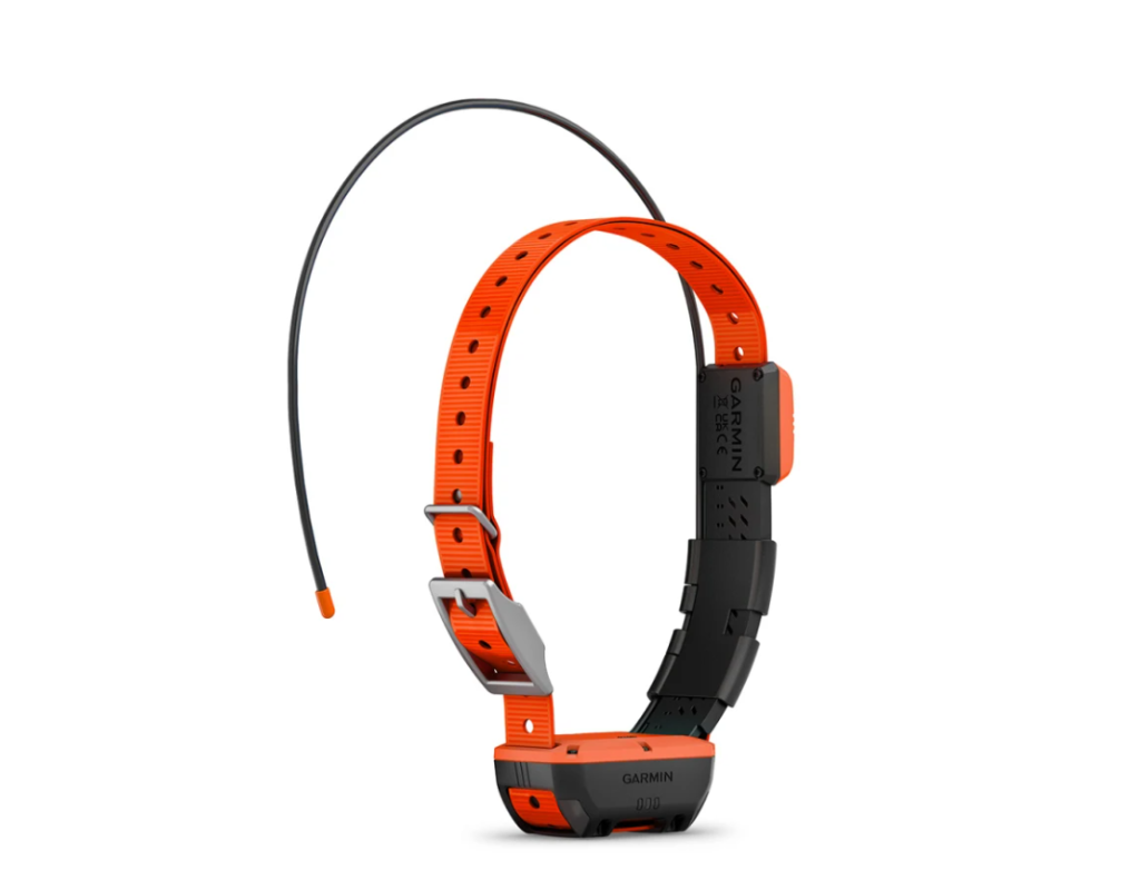 Alpha® T 20 K Dog Collar