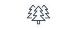 Forestry