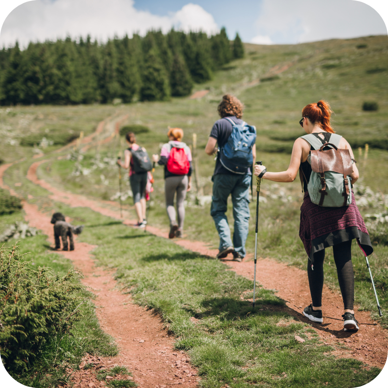Expeditions