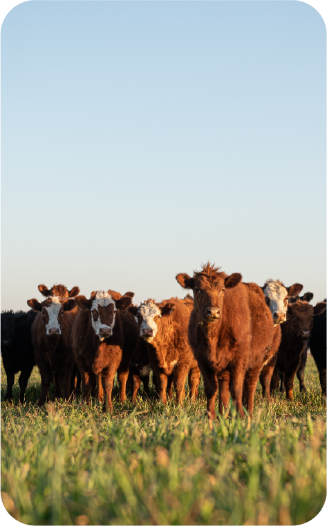Tractor farming a large field, representing agricultural satellite communication solutions
